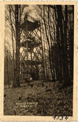 Old postcard AK WIENERWALD Waiting AUSTRIA (675764)