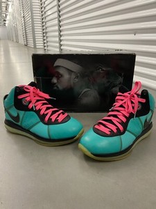 lebron south beach 8