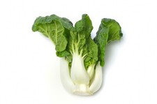Pak Choi Canton Dwarf Seeds ? 200 Seeds ? Compact Asian Vegetable ? JustSeed