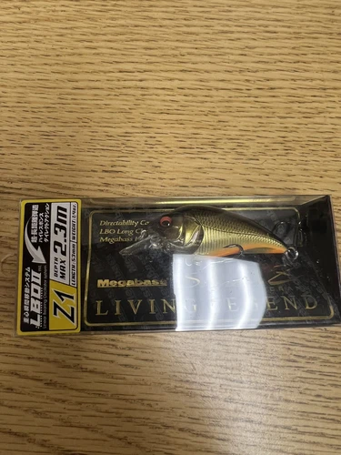 New Megabass Super-Z Z1 Crank Bait Ito Gold