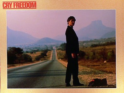 Cry Freedom - Aushangfoto A2 42x60cm gerollt /10