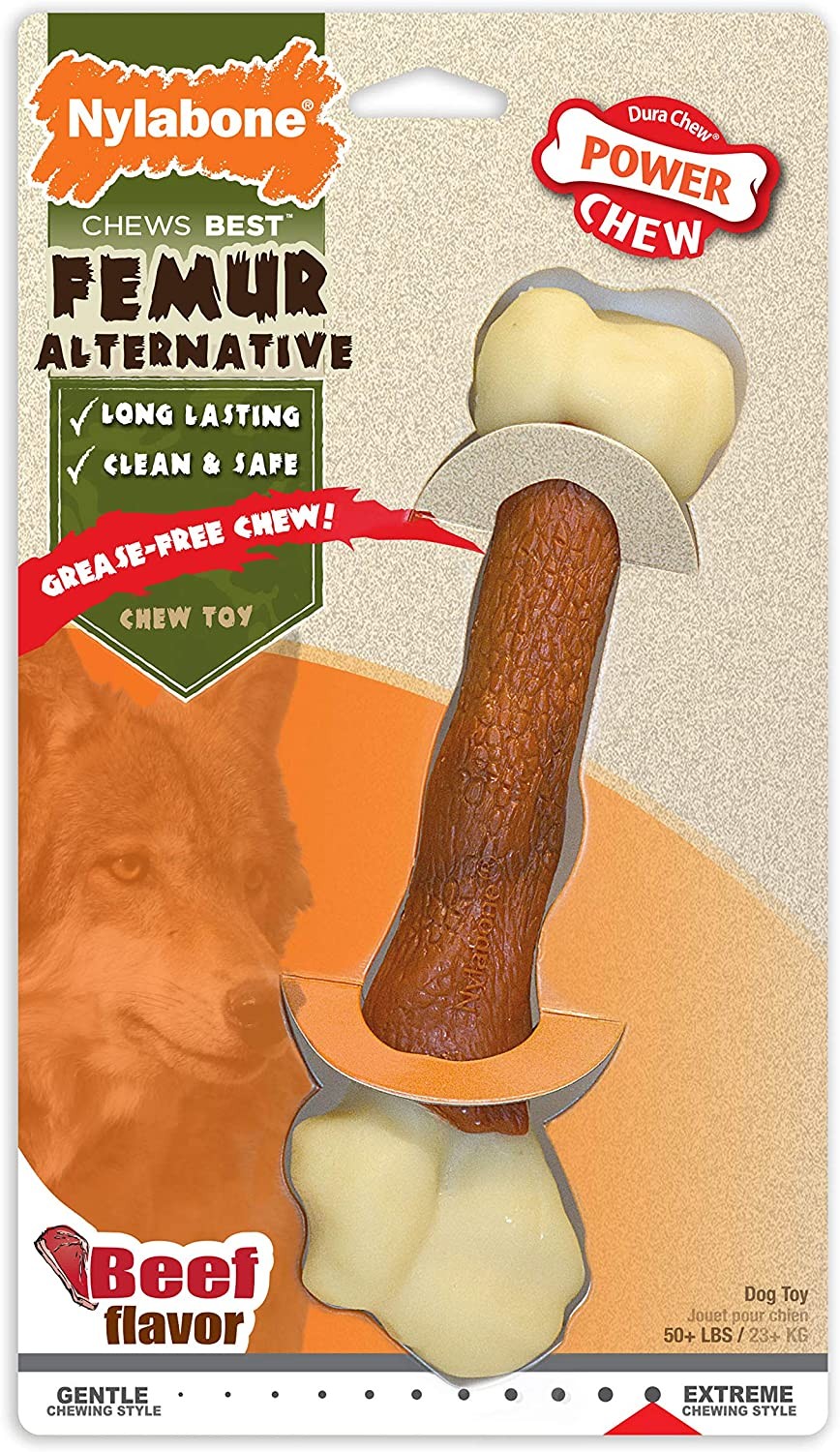 Nylabone Power Chew Femur Alternative, Beef Flavor X-Large D