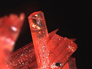 CROCOITE RARE MINERAL MICROMOUNT FROM TASMANIA
