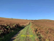 Photo 12x8 Heading uphill Llwyn-du/SO2816 On Deri c2021