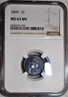 NGC MS-63 BN 1899 Indian Head Cent, Beautifully Toned specimen.