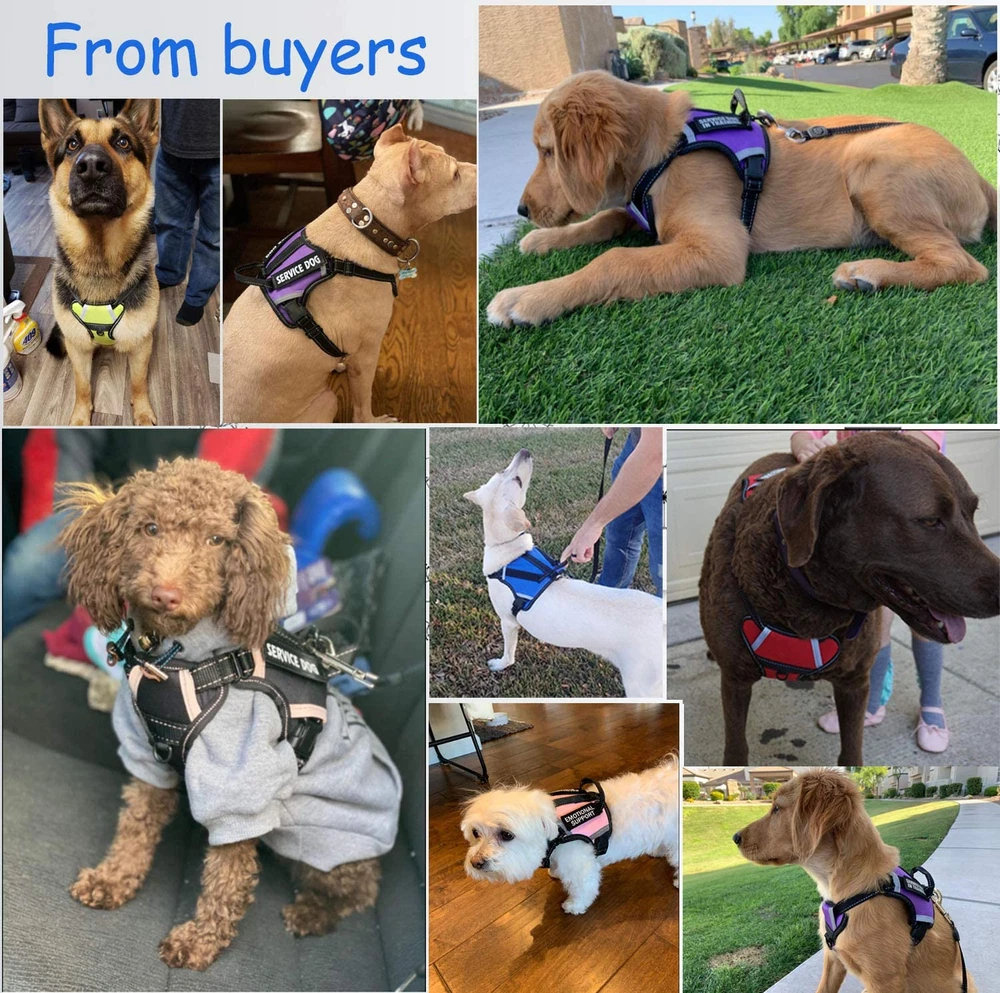 Dog Harness,No-Pull Service Dog Harness with Handle,Adjustable Comfort Pet Dog V