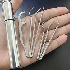 Stainless Steel Reusable Toothpick Set Portable Teeth Cleaner Oral Care Tool