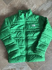 The North Face Alpz 550 Down Fill Zip Puffer Jacket Green Boy Large 14/16