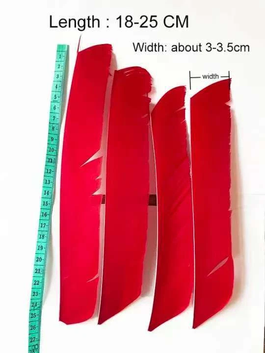 50X Full Length Arrow Feathers Turkey Fletches Archery DIY Right Left Wings - Image 3 of 4