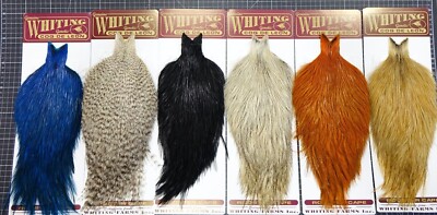 Whiting COQ de LEON Rooster CAPE 6 Farben Streamer MEERFORELLE Coq de Leon CAPE