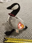 Vintage 1998 TY Beanie Babies Loosy Canadian Goose Retired Rare Stuffed NWT