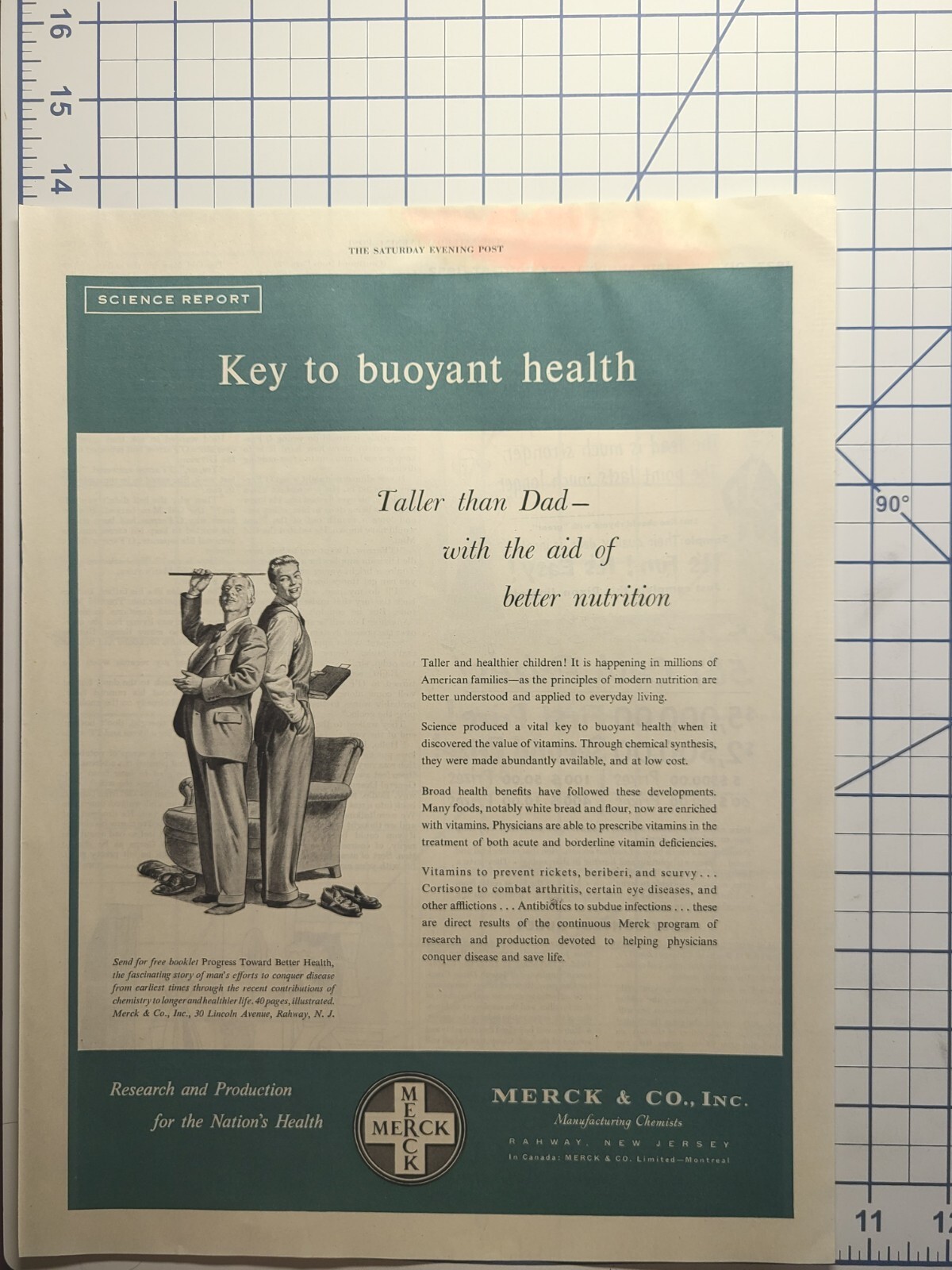 Merck & Co. Better Nutrition Vitamins Rahway NJ Vintage Print Ad 1952