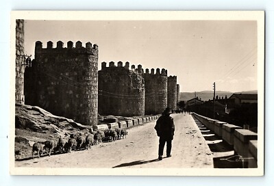 Sheep & Shepard Walking Down Road Next To Castle Towers RPPC Postcard F1