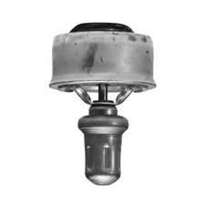 Thermostat Dacia 1310