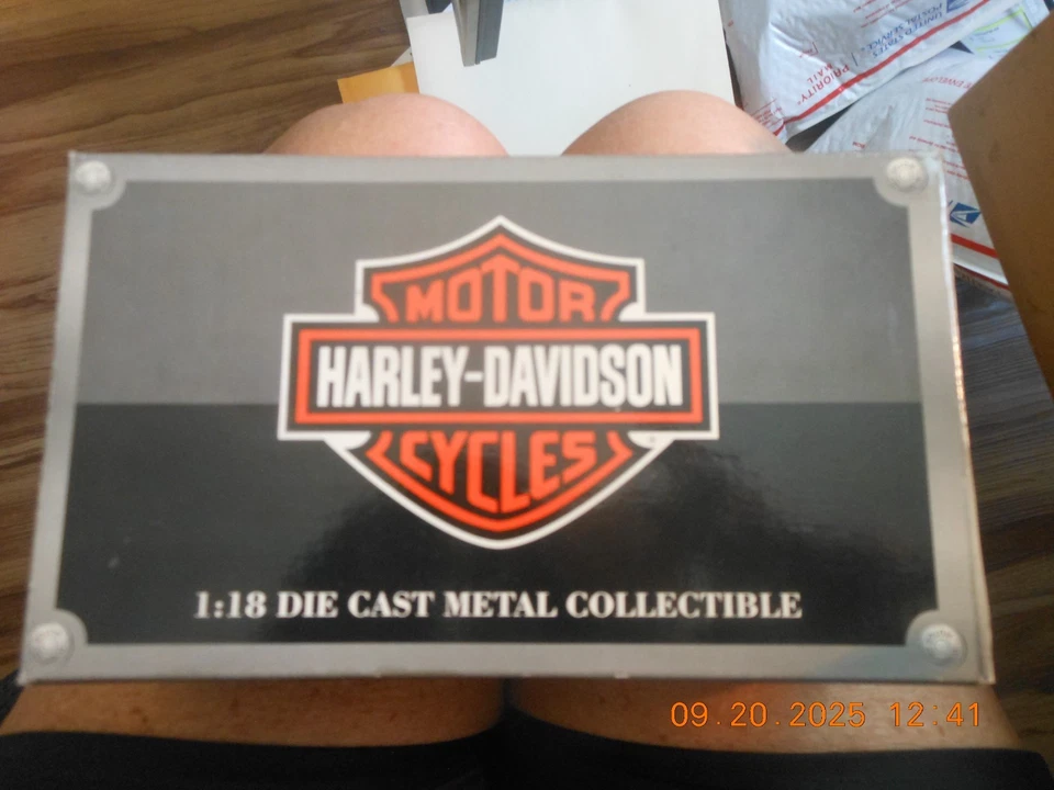 2000 / FXDL DYNA LOW-RIDER / HARLEY-DAVIDSON / MOTOCICLETA DE METAL FUNDIDO A PRESIÓN 1:18 / Foto 2 de 4