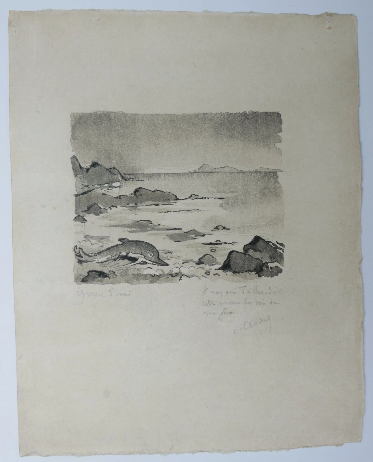 Photo 2/5