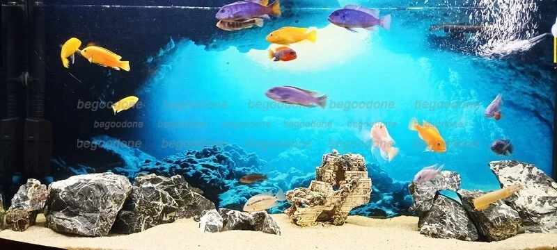 Подводная пещера солнечный свет аквариума фон стикер синий фон украшения - Изображение 3 из 4