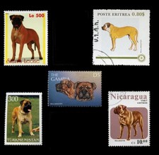 BULLMASTIFF BULL MASTIFF DOG POSTAGE STAMP INTERNATIONAL COLLECTION X 5