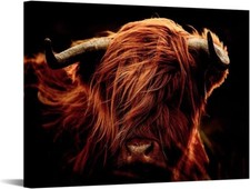 Highland Cattle Canvas Wall Art Cow Painting Pictures Farmhouse