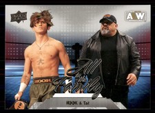 HOOK / Taz 2023 Upper Deck AEW #95