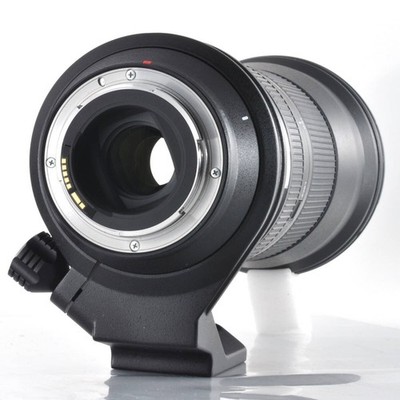 TAMRON SP 150-600mm F5-6.3 Di VC USD Canon EF mount Working