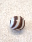 Peltier Purble Zebra Wet Mint 11/16 — photo 5