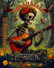 Billy Strings St. Augustine 2026   One of a kind by Jaye Metcalfe