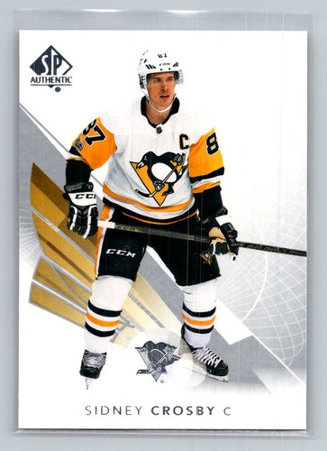 Sidney Crosby #45 card