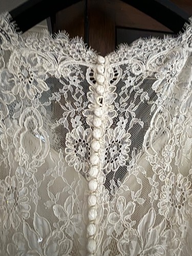 Augusta Jones D37CPZMS Wedding Dress 10 Cream Lace Sexy Romantic NWT $2,750 - Picture 10 of 19