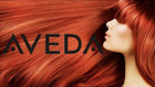 Aveda Color Conserve Collection Discontinued