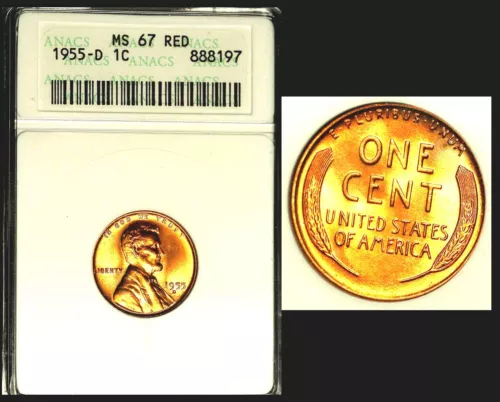 1955-D 1C- NGC MS 67 RED LINCOLN WHEAT SMALL CENT