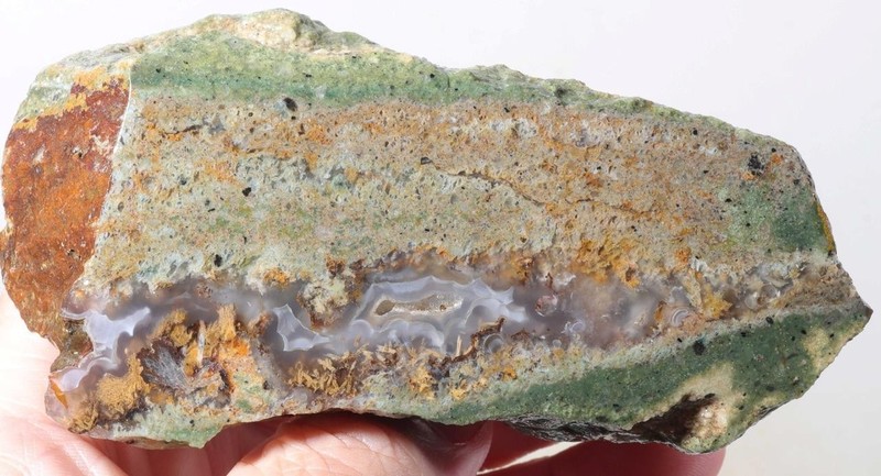 Needle Peak Texas 9 oz. Sagenite Agate lapidary faced rough lot H