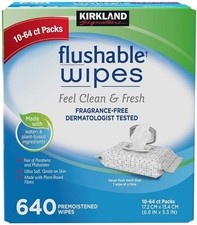 Kirkland Signature Premoistened Flushable Wipes, Fragrance Free, 640-count