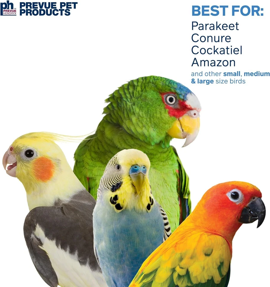 Prevue Pet Products Calypso Creations Club Bird Toy, Multicolor Parrot Toy - Image 4 of 4