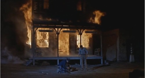 From Hell to Texas 1958 DVD - Don Murray, Dennis Hopper, Chill Wills - Picture 12 of 12