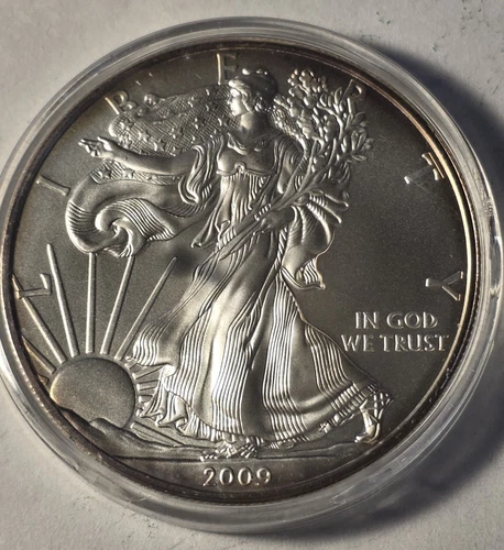 2009 Silver Eagle $1 Dollar 1oz Uncirculated .999 -In Capsule-Beautiful Toning!