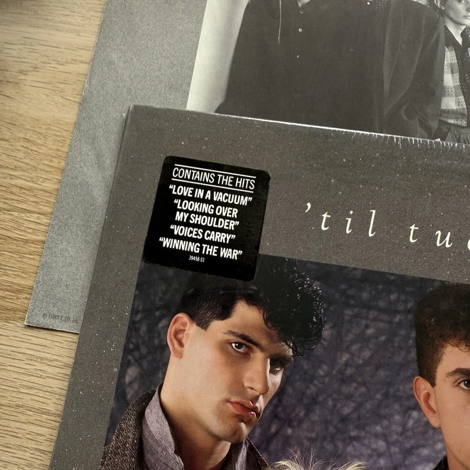 'TIL TUESDAY Voices Carry Original 1985 Press In Shrink W/Sticker Complete EX/EX Foto 3 de 4