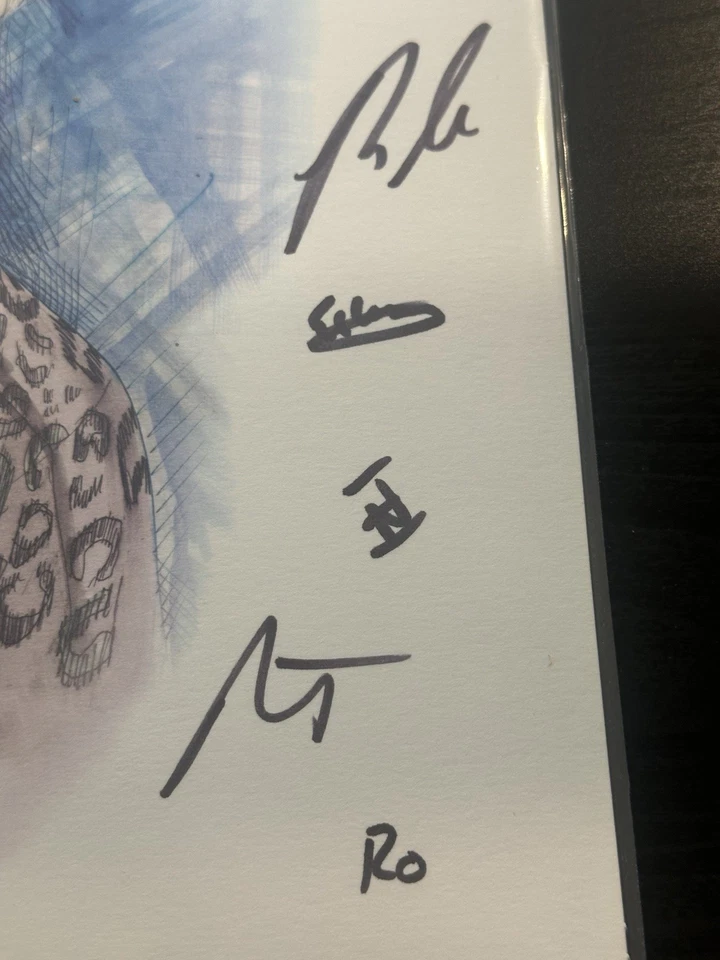 The Front Bottoms SIGNED Cover Rose EP Vinyl Recycled Colors (Autographed) Foto 2 de 4