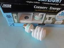 FEIT ELECTRIC 75W (18W) SPIRAL REPLACEMENT DAYLIGHT BULBS