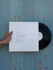 THE WHITEST BOY ALIVE DREAMS Vinyl 20th Anniv...
