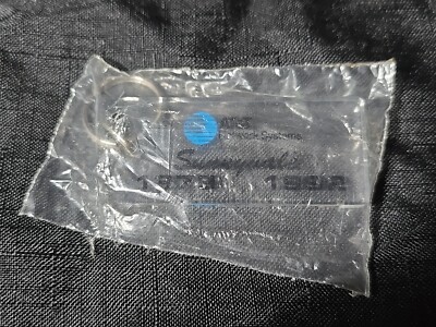 AT&T Network Systems Sunnyvale CA Keychain 1979 1992 13th Anniversary Lucite VTG