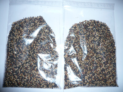 600 g / 0,6 Kg Kanarienfutter Hauptfutter Vogelfutter Kanarienvögel (9,95 /kg)