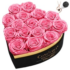 Preserved Roses Flowers for Delivery 16 Pcs, Mothers Day Rose Gifts for Her, ...