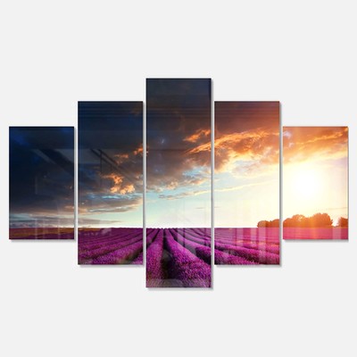 Designart 'Stunning Lavender Field under Cloudy Sky' Large Purple 60 in. wide x