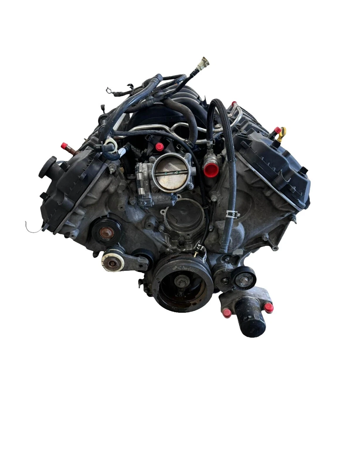 Ford Car and Truck Engines 8 Cylinders