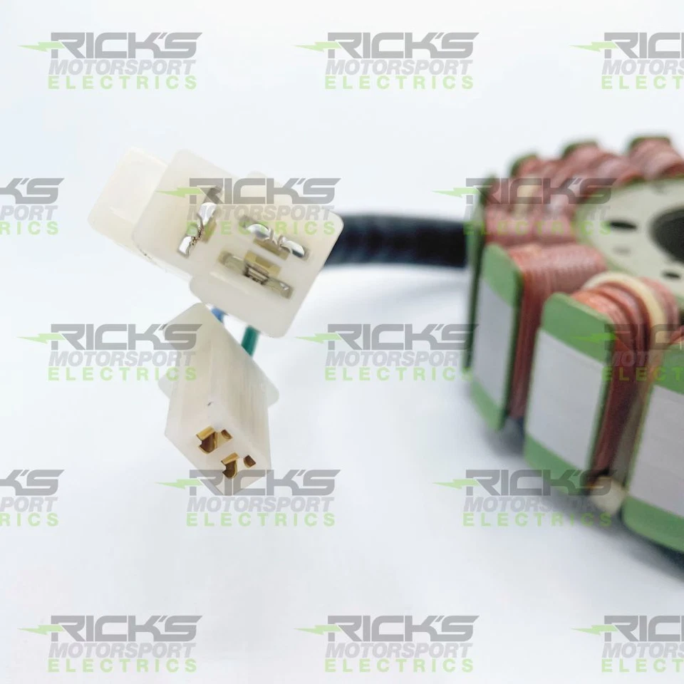 Estator serie Ricks Hot Shot para Suzuki Hayabusa GSX1300R 2008-2009 Foto 3 de 3