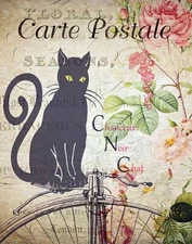 Decoration Poster.Home room art.Interior design.Black Cat Postal Card.7289