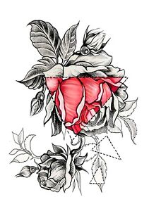 Rosen Tattoo Einmal Tattoo Bunt Km055 Fur Oberarm Und Korper Ebay