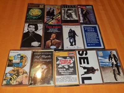 13x Kassetten MC Tape Sammlung Ramazzotti Seal The Moody Blues Rivers Of Babylon