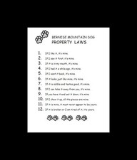 Bernese Mountain Dog - CUSTOM MATTED - Dog Art Print - P/L